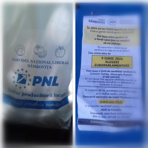 pnl si aur dambovita