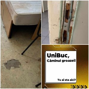 unic buc camin1