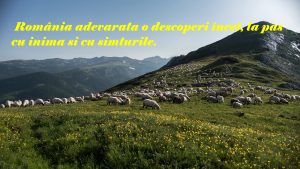 363336932_7199296466750410_713727825174751097_n