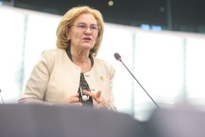 EP Plenary session - Renewable energy directive