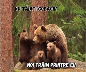 379991423_695821079243021_7755788394847773971_n