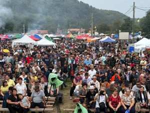 381015909_6754357174631211_7219934976303519463_n