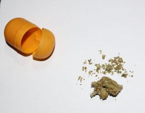 poz materie vegetala