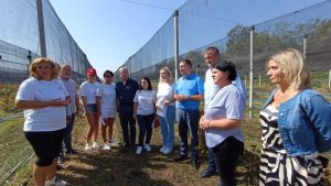 cosul cu bunatati de la danuta - consiliul judetean dambovita