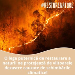 403706189_753723060116114_300506372771919071_n