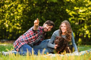 cadouri-iubitori-de-animale_wp