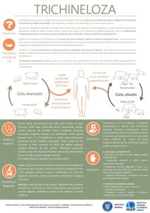 407344866_348450871106658_9149755688340941366_n