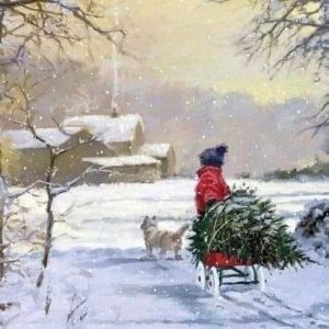 411062294_3581143785470564_567863386900574952_n