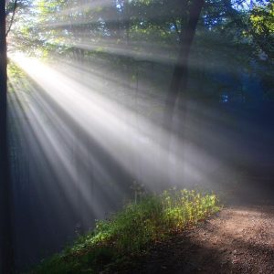 414720553_349184714418121_3308854273155283099_n