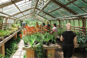 Culture Quest 2023 - Future Botany cu Andrea Palasti _ Daniel Popovic(1) (3)