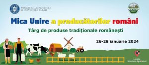 420094231_386618307214163_623718573992599173_n