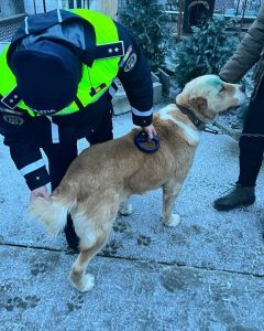 421263959_681894717446806_265731629282582644_n