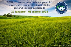 countryside field, sunny day in the countryside