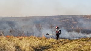 incendiu-vegetatie