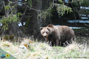 342889656_977781126727904_1755475087896463524_n