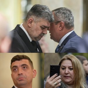 Sondajul cititorilor 2024