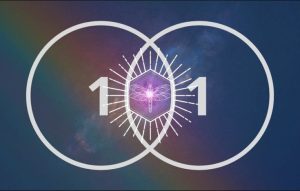 WhatsApp Image 2024-03-01 at 16.13.55