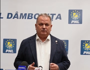 virgil guran - pnl dambovita
