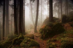 434464321_734968382116008_4778160845340653149_n