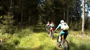 bicileta in padure interzis