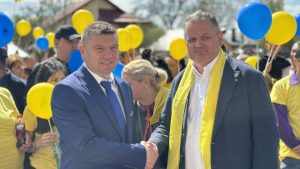 mihai visinescu branistea