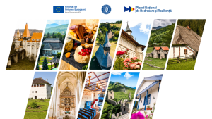 438331017_122128147646244987_6623293602684801074_n