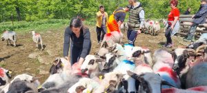 443718512_441104548556370_3471551049805755011_n