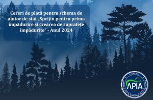 443819155_842043534636036_5439147631604268956_n