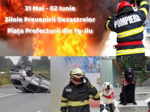 444964916_768247472150872_8202495954851627313_n