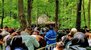 Foto Nucet-arhivă (2)