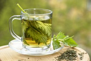 Nettle,Tea,In,Glass,,Fresh,And,Dry,Nettle.
