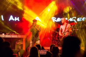 electroruga-buzad-3-1024x682