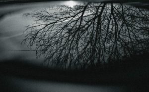 03_Aquapic_ clip and other media_19-25yrs