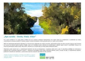 Cartolina_Ape_curate_ilustrata