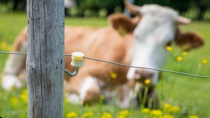 facebookeventbanner44_wp