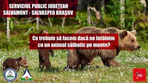 451232273_905075634980318_1748622367749541692_n