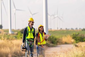 auditeco_oficialmedia.com_wp