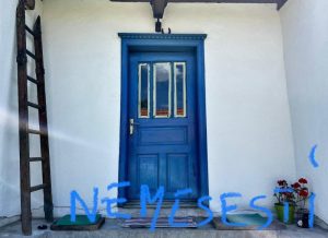 nemesesti in lucru.jfif