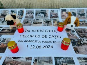 456291477_1062382282553708_5925321803658596969_n