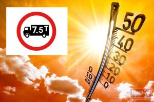 canicula-restrictii-circulatie
