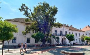 muzeul revolutiei anticomuniste timisoara