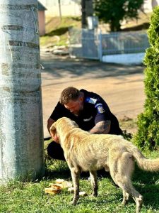 459897232_946269477528528_3990702374874866817_n