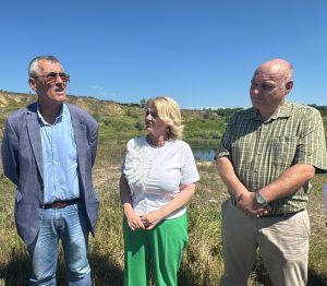 claudia gilia - paduri