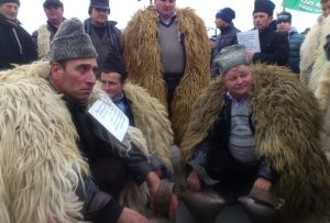 protest ciobani - oi moarte