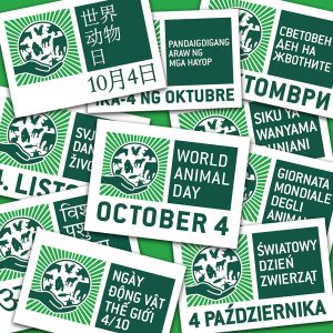 461153701_943291471168957_6582922030875437_n