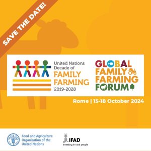 462754849_953714710130265_6041244191241708317_n