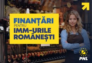 bani elvetieni pentru companii romanesti