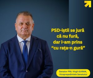 virgil guran pnl dambovita