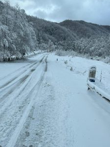 467568974_1125363649593170_6652521354556639664_n