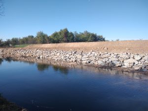 Rachita-refacere dig